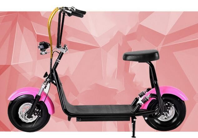 Citycoco Easy Rider 48V 500W Electric Scooter with Small and Exquisite Design On Buyers