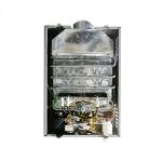 6L Instant Tankless Flue Gas Water Heater Wall Mounted Battery Operated Ignition