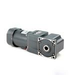 AC/DC Micro Reducer Compact Gear Motor 6~250w 1/3 Phase 110/220/380V