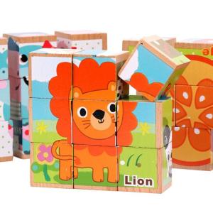 Quality 3D Wooden Building Blocks Educational Six Sided Cubes For Children wholesale
