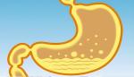 Animal Bacterial Control Poultry Feed Acidifier Effective Antibiotic Alternative