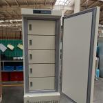 Stable Temperature -25 Degree Medical Deep Freezer for Vaccine RNA DNA Storage