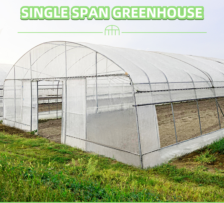 Economical Tunnel Greenhouse with Side Ventilation for Plant Growth
