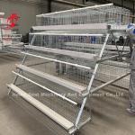Hot Galvanized Q235 Steel Chicken Battery Cage For Nigeria Ghana Cameroon