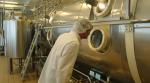 Mirror Polising Vacuum Mesh Belt Dryer Machine Steam / Hot Water Heating