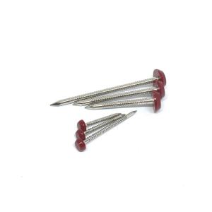 Quality Outside Construction Diamond Point Plastic Head Nails wholesale