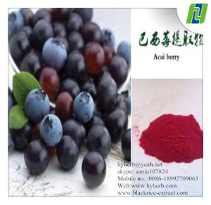 Quality professional technology support brazilian acai berry extract wholesale