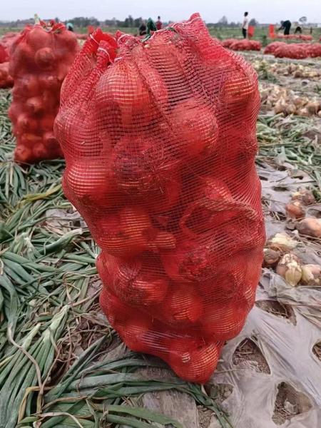 Cheap PP Drawstring Mesh Netting Bags Vegetables Packing Onion Potatoes for sale
