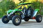 Aluminum 4 Wheel 2 Person Go Kart 300cc / Adult Off Road Go Kart