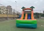 Anti UV Outdoor Adults Commercial Vinyl inflatable water slide rental backyard