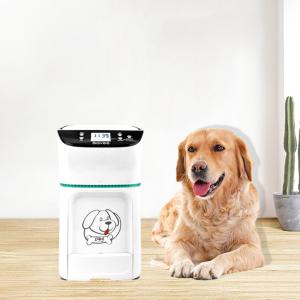 Quality App Control 550mL 3.2L Hopper Automatic Pet Feeder wholesale