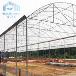 Single Span Clear Film Tunnel Top Vent Greenhouse Sri Lanka Prefabricated