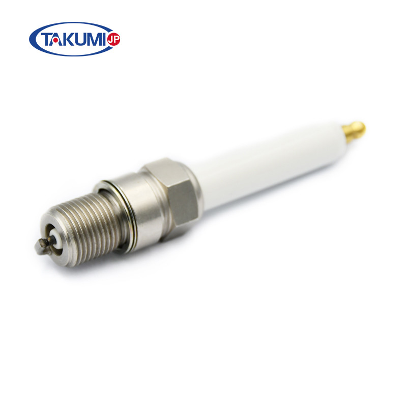Spark Plugs Replacement For BOSCH 7307, 7308 MWM TBG441B, TBG 616 Gas Engine Parts