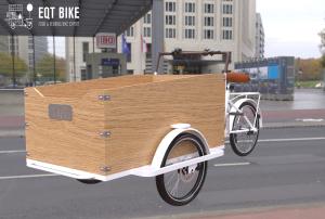 Quality Electric Box Structure Tricycle Cargo Bike For Children wholesale