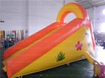 Indoor Inflatable Slide (CYSL-51)