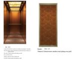 Home LIft