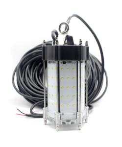 Quality 12V Squid 150W IP68 Submersible Fishing Lights wholesale