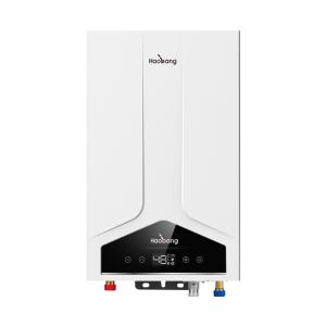 Quality Affordable Balanced Flue Gas Water Heater 220V-240V/50Hz 80W for Business wholesale