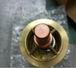 43007026 Temperature Control Valve