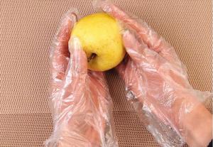Quality Cleaning Kitchen 0.8g Disposable Plastic Gloves 100pcs/Bag wholesale