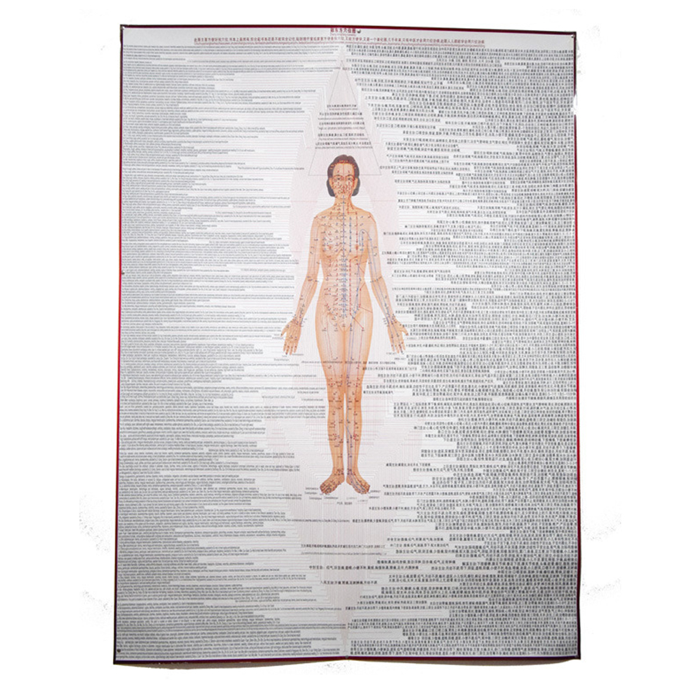 Human Body Meridian Acupuncture Culture Acupoint Acupressure Points Chart