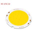30w Led Cob Bulb Chip