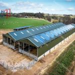 Steel Frame Prefabricated Goat Shed Q235B Q355B Steel Factory Shed