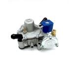 Separated Gas And Water Circuit Autogas LPG Pressure Regulator 125W