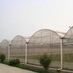 OEM PO PE Polyethylene Film Greenhouse Multi Span 4 Season Growing For Flower
