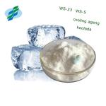 Food Additives Ws-23 Cooling Agent Koolada Mild Cooling Slight Menthol Odor