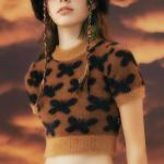 Short Sleeve Crop Top Knit Sweater Jacquard Woolen Sweaters For Ladies