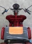 Pedal 1.0m*3.1m 110cc 3 Wheel Trike Moped