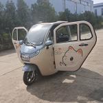 Factory Wholesale e-trike 1200W 3 wheel electric car adult electric tricycle
