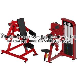 Quality Gym Fitness Equipment Lateral Raise exercise machine wholesale