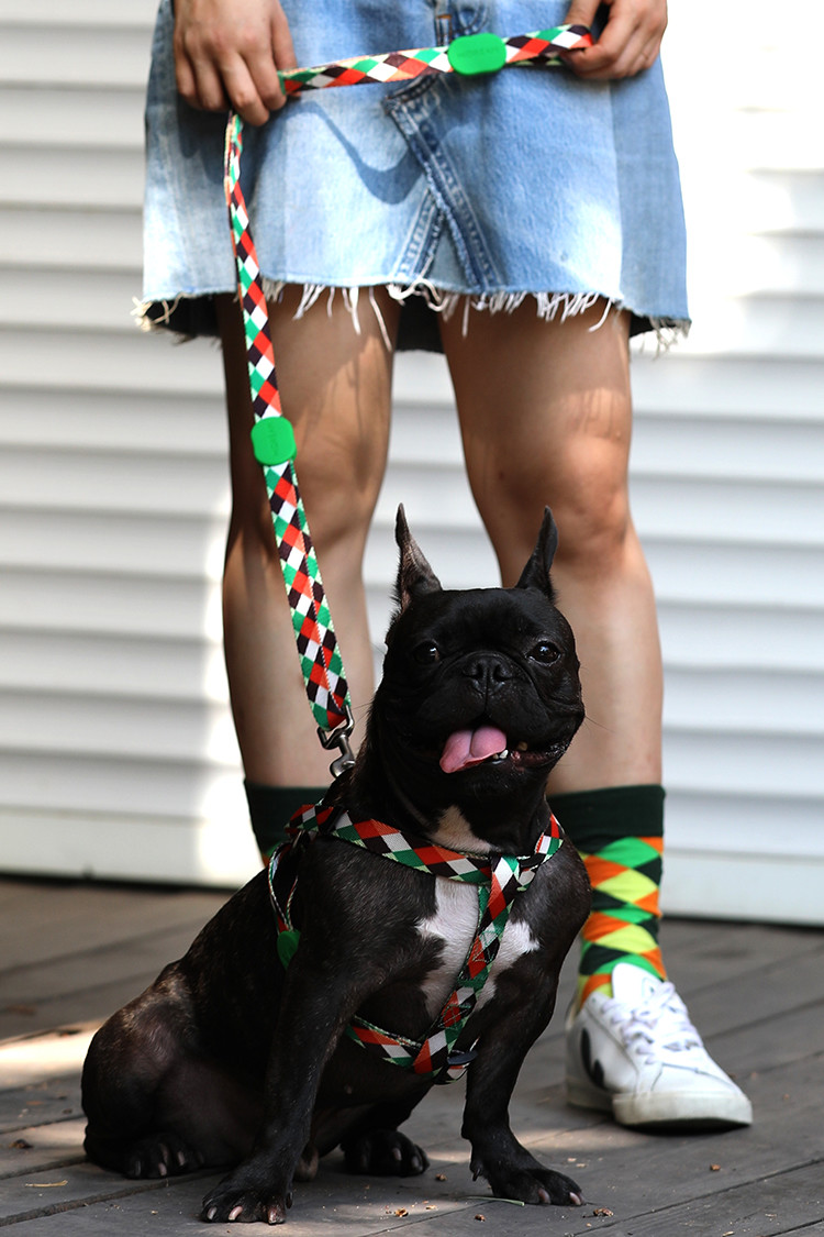 0.98 Inch Adjustable Neck Dog Harness