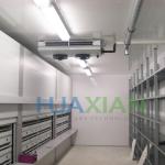 China Walk in Freezer Cooler/Chiller/Cold Storage Room Warehouse Price for Sale