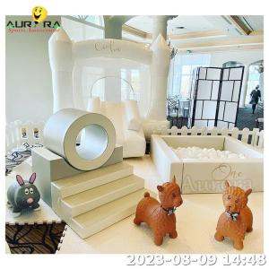 Quality Children Inflatable Soft Play Equipment Ball Pit Bounce House Soft Play Sets OEM wholesale