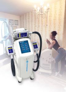 Quality Vertical Fat Freezing Machine , Supersonic Fat Reduction Device wholesale