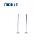 In Stock Hot Selling Machinery Diesel Engine Spare Parts Genuine MAHLE VALVE IN