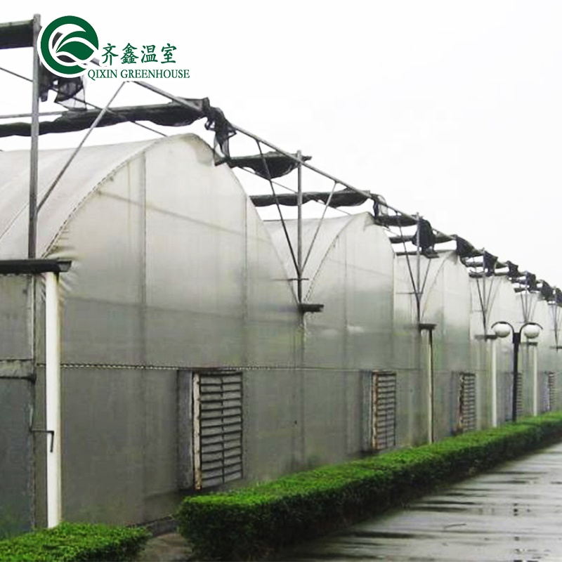 Customized Multi-span Vegetable Grow Tunnel Greenhouse for Vegetable Cultivation