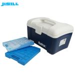 Food Grade HDPE Large Cooler Ice Packs Reusable Blue With Handle