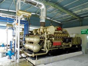 Quality Niger 1000kw Natural Gas Generator with 16V190zlt2-2 and ISO Certification wholesale