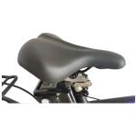 Ladies Beach 26 Inch Electric Bike Mountain 250w 500w Motor 36v-48v Arrow
