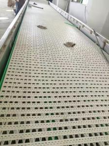 Quality Slat Chain Conveyor for Conveyor System wholesale