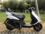Fast Speed Gas Motor Scooter Belt Transmission 5 L Fuel Tank Capacity