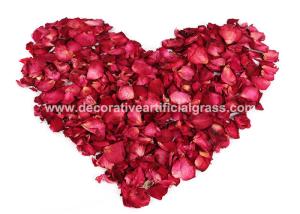 Quality 100% Natural Drying Rose Petals For Confetti 20g 50g 100g wholesale
