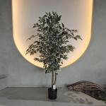 Hypoallergenic Plastic Fake Plants Insect Resistant 120CM