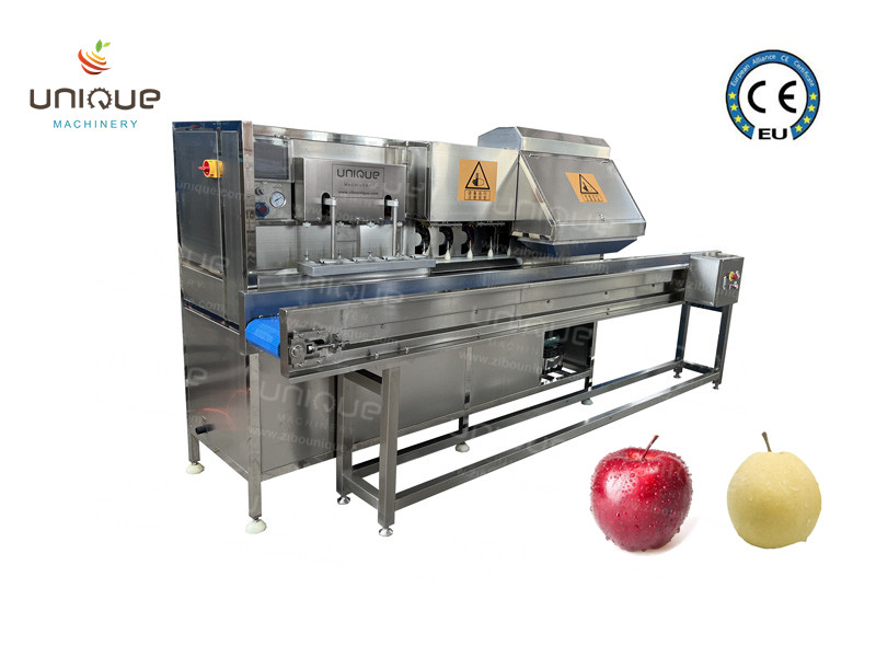 Apple Peeler Head Pear Peeling Coring Cutting Machine with Video Technical Support