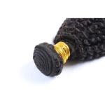 Deep Curly Brazilian Human Hair Bundles Natural Black Color Free Sample No