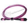 Quality Multi Mode 12F OM4 Magenta MPO Patch Cable Female To Female wholesale